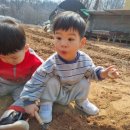 보람아트브레인어린이집 이미지