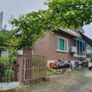 내성초 입구 이미지