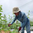 행정사사무소 비결 이미지