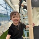 주공농장 이미지