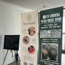 세경3차 | 민생회복쿠폰 사용가능처 청주 더데이지 여름맞이 뒷목 왁싱 후기