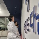 태권도 다움 이미지