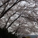 공룡당구장 이미지