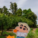 제주 서쪽 이미지