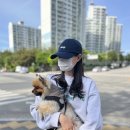 관저종합동물병원 이미지