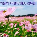 가을의 시(詩) / 김옥림 (영상시 첨부) 이미지