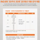 ING생명 2018년 대졸(채용형 인턴) 공개 채용(~10월 22일) 이미지