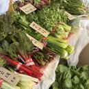 허브마켓(주) | 광주근교 나주 가볼만한 곳 • 채소 플리마켓 단지하우스 아이랑 애견동반 가능해요!