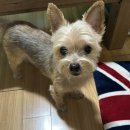 한천로99길 이미지