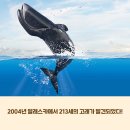 포식
