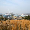 한반도소금산업