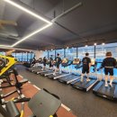 팀터틀랫 김해내외점 이미지