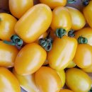 기운농장 이미지