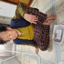 태형건업 이미지