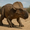 프로토케라톱스(Protoceratops): 고대 사막의 작은 거인