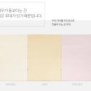 에코포라 | 에코폼 폴더매트;역시 최고 솔직후기 총평