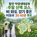 녹지관리사업소 | 함안 악양생태공원 주말 산책 코스, 비 와도 걷기 좋은 이유와 30·60분 루트