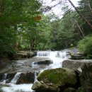 금원산자연휴양림 이미지