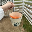 동진목장 이미지