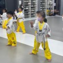 국가대표 No.1 태권도장 이미지