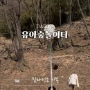 대흥동 유아숲체험원 이미지