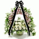 2019-주076 이미지