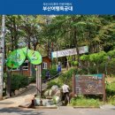 길따라행복 이미지