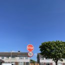 씨네월드 | 아일랜드 워홀 +3 ☀️ 첫뷰잉하고 씨네월드에서 인어공주 보기