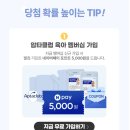 모든날이 행복하기를 | 아이품고 임신축하박스 신청 방법 및 구성품 | 무료 임신 선물