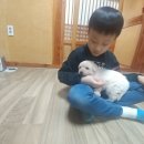 길목농장 이미지