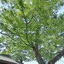 광의면사무소 앞 1 | 지리산둘레길 방광~오미 구간(1) 12.3km 5시간 30분┃구례여행 화엄사와 지리산국립공원남부사무소