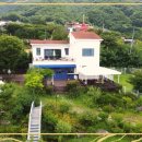 강아지 보호센터 이미지