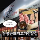 윤봉근생돼지고기 | [내돈내산] 대구 수성구 고기집 추천, 대구은행역 맛집 윤봉근 돼지고기 전문점