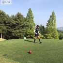 도그버디금호 | 아시아나cc 동코스 이거 실화냐??