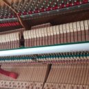 원메이저 자이 이미지