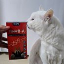 A-8 | 고양이 항산화 수의사 개발 반려동물 TEDDY8-A 영양제 후기