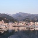 울릉도와 독도이야기펜션 이미지