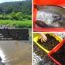 개울가 펜션 이미지