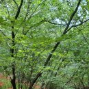 추억여행 이미지