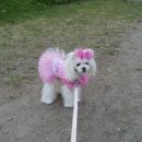 똑똑카페 이미지