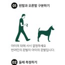 댕토피아 이미지