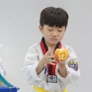 라이온 태권도장 이미지