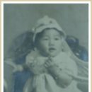 활초초등학교 이미지