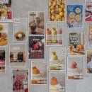 광이네과일가게&주스 | 안동 과일빙수 맛집 오즈베, 생과일 빙수와 착즙주스가 맛있는 카페 추천