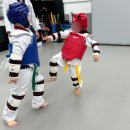 위올태권도 이미지