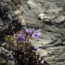 문희주유소 이미지