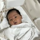 이레마트 | 신생아 생후 0개월 기록_이레아이맘 산후도우미, 신생아 트림, 미래와희망 산후검진, BCG 접종, 베이비...