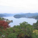 꽃님이네 이미지