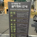 망원동 배드민턴장 | (서울 망원동)망원한강공원 피크닉 후기(주차장, 텐트존, 배달존)꿀팁 총정리 &amp; 망원시장 맛집, 먹거리...