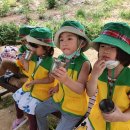 선재어린이집 이미지